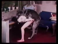 Kinky bitch got a dog banging her in doggystyle
